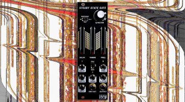 Steady State Fate Steady State Gate